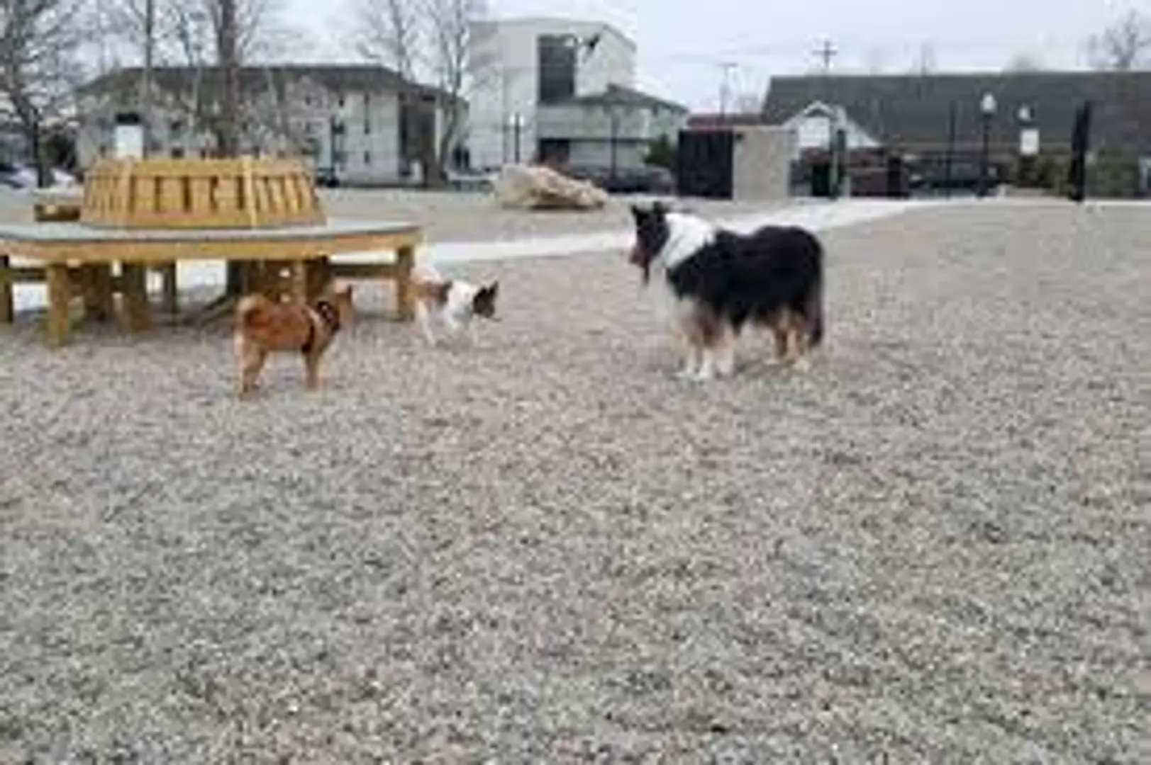 6787e15f71c99de7929c2287